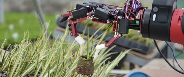 Smarthort robot arm for horticulture